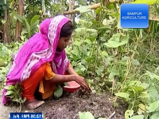 BEST AGRICULTURE GROWTH 2016 || কৃষি খামাড় করে রুপালী বেগমের স্বাবলম্বী হওয়ার কাহিনী তার মুখ থেকে শোনেন।