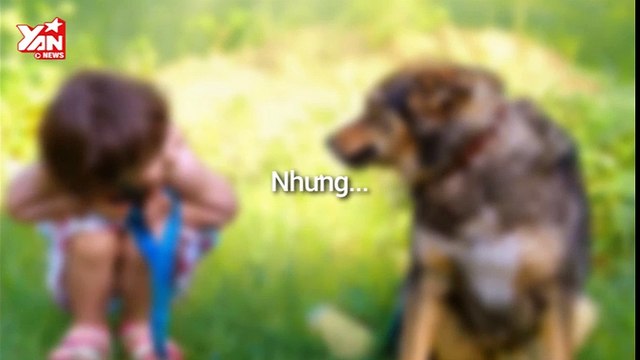 Lần đầu ăn thức ăn cho chó...