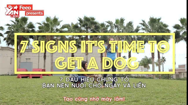 7 Dấu hiệu chứng tỏ bạn nên nuôi chó ngay và liền