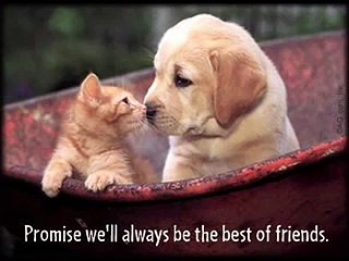 Benny Neyman - Omdat je voortleeft in mijn hart-0X5no5tYpb8-HQ