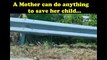 A MOTHER can do anything to save her child (santa-banta-group)