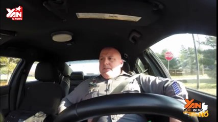 Doven Police (Shake it off)