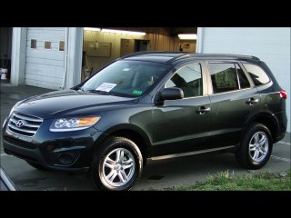 Auto Paint Overspray Removal of Texas Onsite Services_clip1