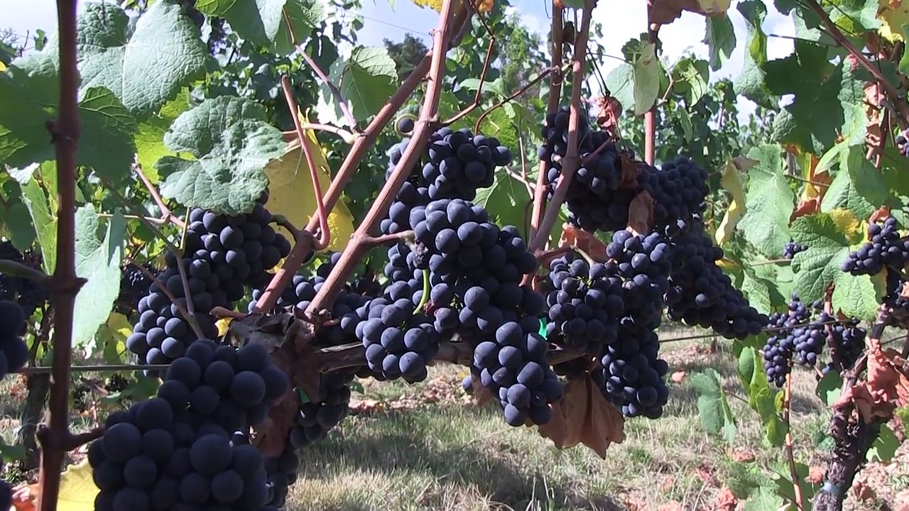 RHONE ALPES Actu - 23 SEPTEMBRE 2016