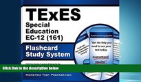 Popular Book TExES Special Education EC-12 (161) Flashcard Study System: TExES Test Practice