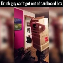 Un homme ivre est coincé dans son déguisement en carton