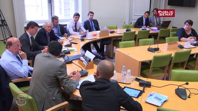 Revenu de base: audition des jeunes patrons au Sénat