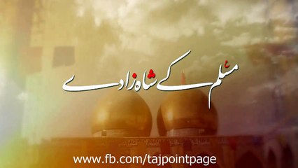 Muslim Kay Shahzaday Mir Hasan Mir Noha 2016-17 HD