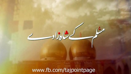 Muslim Kay Shahzaday Mir Hasan Mir Noha 2016-17 HD