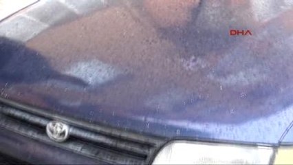 Yalova - 'Dikkat Motor Kısmında Kedi Var'