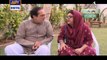 Watch Bulbulay Episode 266 on Ary Digital in High Quality 23rd September 2016