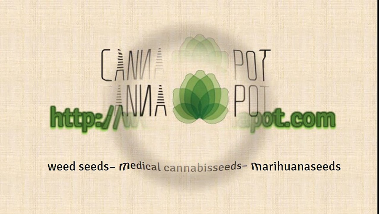 Hanfsamen online bestellen - Cannapot bietet eine große Auswahl an Cannabissamen