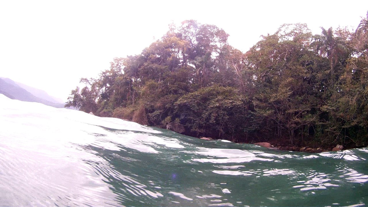 Natureza Selvagem, Marinha, Mergulhando, Ubatuba, SP, Brasil, Natureza Marinha, Fantástica, Apneia, 10 m, Setembro, primavera, 2016,(4)