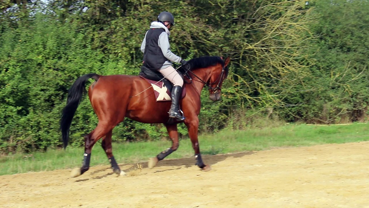 Dadou et moi jeudi 22 septembre 2016