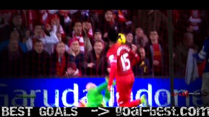 Daniel Sturridge vs Everton 13-14 by andreys0 - goal-best.com
