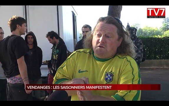 Vendanges en Gironde : les saisonniers manifestent