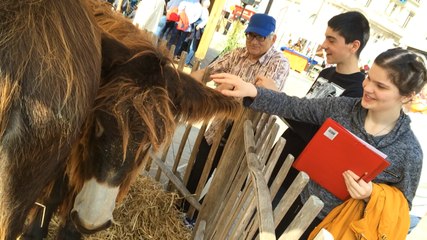 Une ferme place de la République