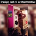 Un homme bourré n'arrive pas à sortir d'un carton, filmé par sa copine morte de rire !