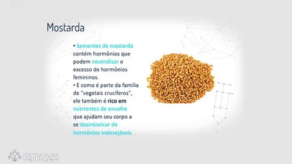 Programa Fim da Celulite 3 Alimentos Poderosos Contra A Celulite