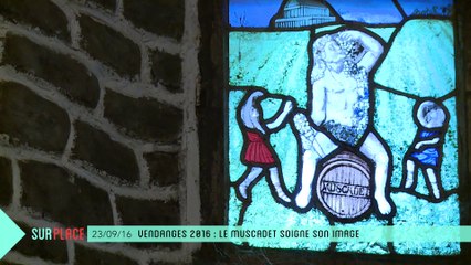 Sur Place aux vendanges (2/2) : le Muscadet soigne son image