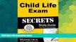 Big Deals  Child Life Exam Secrets Study Guide: Child Life Test Review for the Child Life