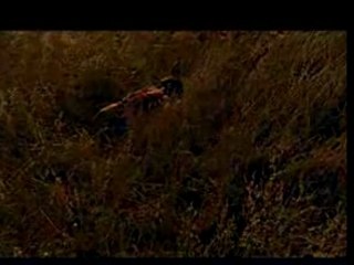 Beverley Knight - Not Too Late For Love