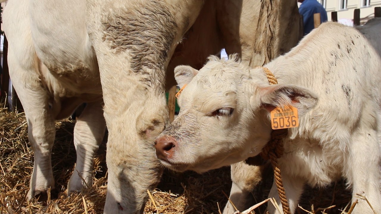 La Ferme Naturell' Mans - 7e édition