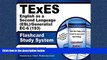 Popular Book TExES English as a Second Language (ESL)/Generalist EC-6 (193) Flashcard Study