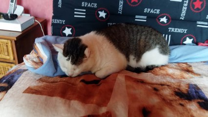 Papou est rentré le 23 septembre