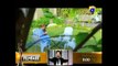 Meri Saheli Meri Bhabhi - Episode 58 - Har Pal Geo