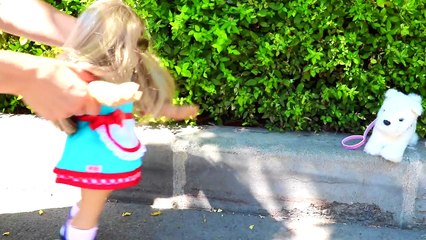 American GIrl Doll Accident with pet dog toy