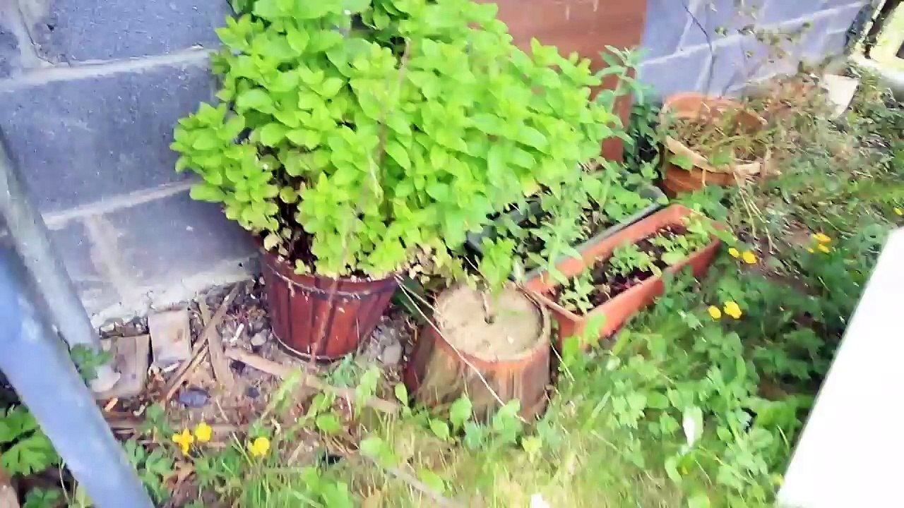 Dislocated Elbow Extension Exercises