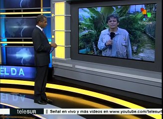 Colombia: Villa Rica albergará zona de concentración de FARC-EP