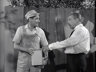 Mister Ed S5 | Hi-Fi Horse