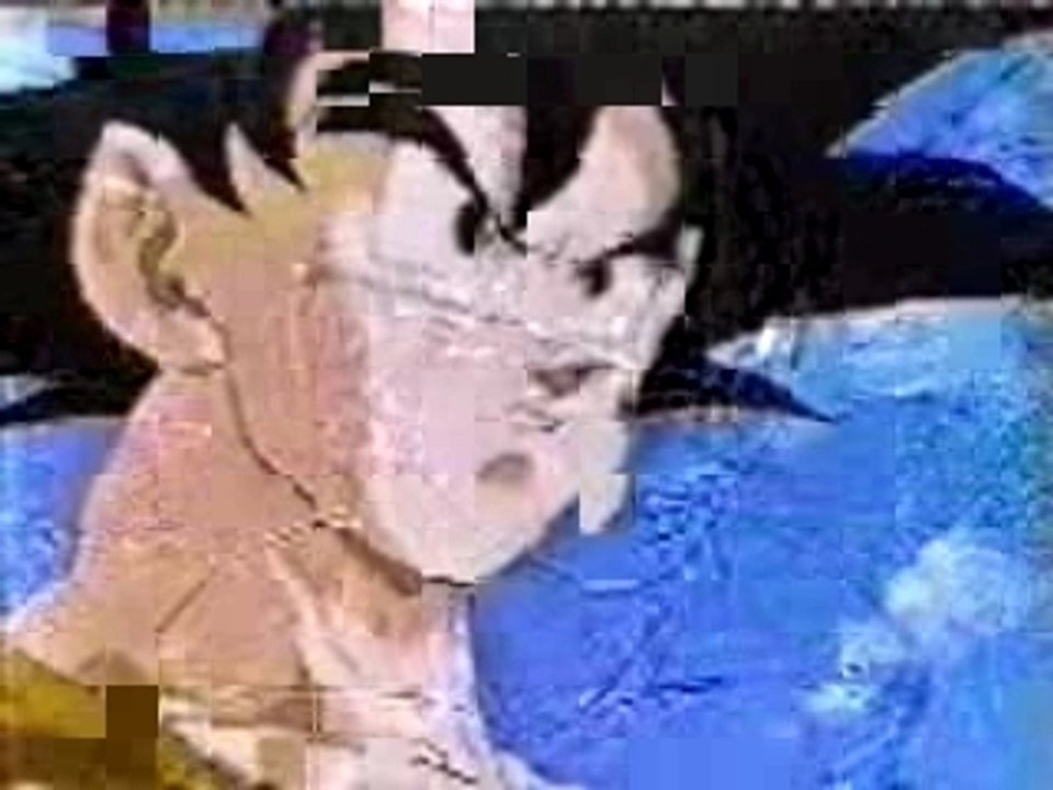Dbz goku-vegeta_(converted)