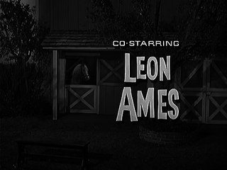 Mister Ed S5 | Ed The Pool Player