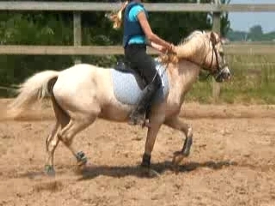 Moi et mon bébé petit croisillon