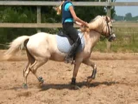 Moi et mon bébé petit croisillon