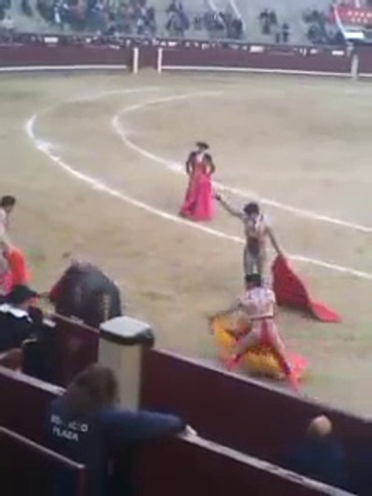 Revenge of the bulls - La venganza de los toros