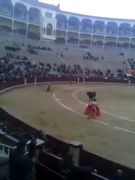 La venganza de los toros - las ventas