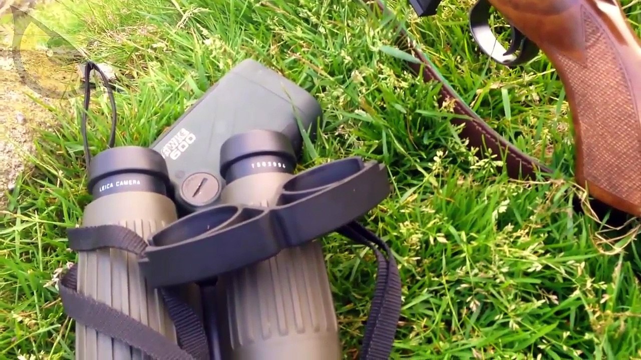 Hunting Rabbits Best Shot