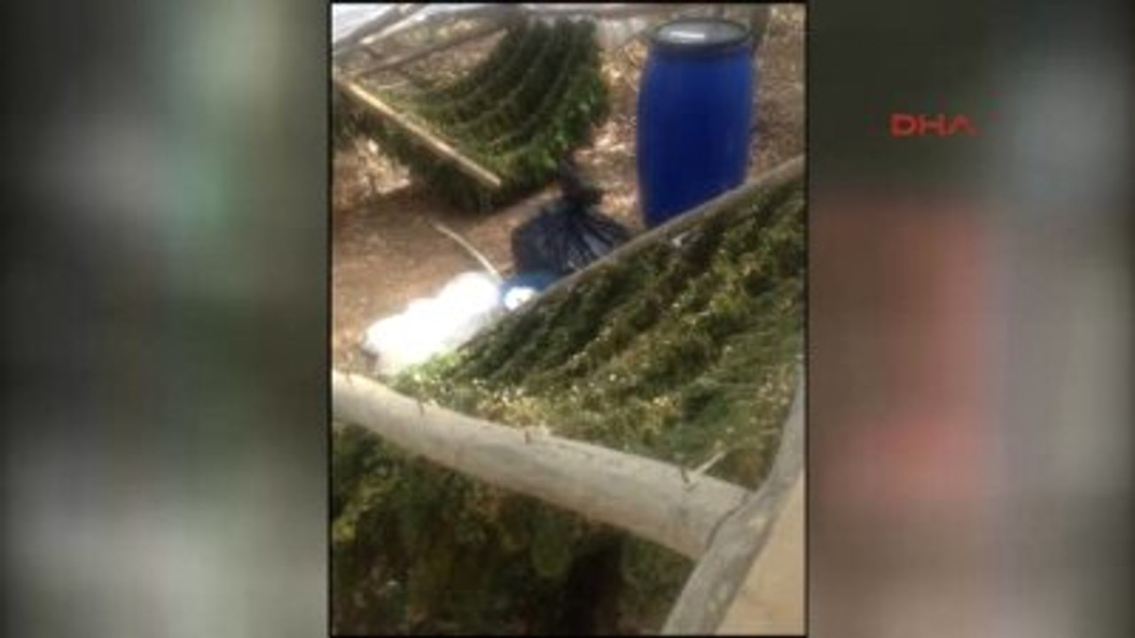 Diyarbakır Lice Kırsalında PKK'ya Uyuşturucu Darbesi