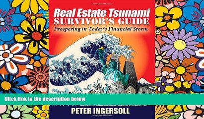 Big Deals  Real Estate Tsunami Survivor s Guide: Prospering in Today s Financial Storm  Best