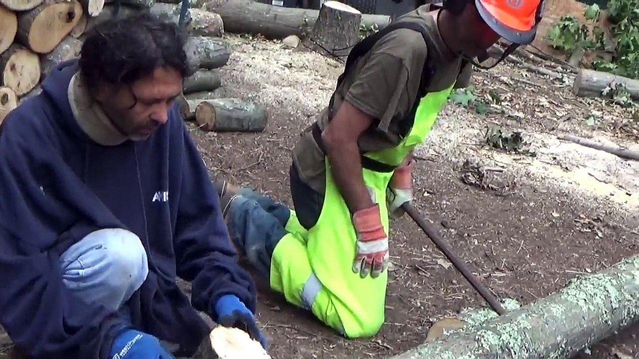 Preparing To Build Chicken Range & Other Homestead Activities