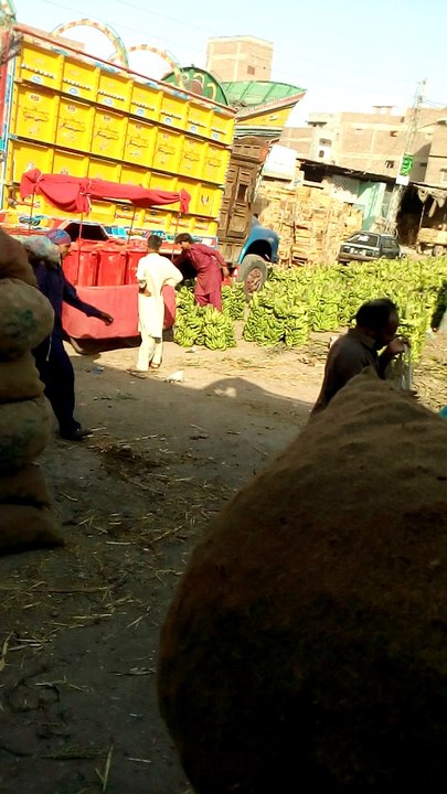 Hyderabad sabzi mandi