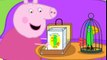 Peppa Pig en Español - Segunda Temporada - Capitulo 3 - Las Vacaciones de Polly - Peppa Pig 2016