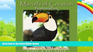 Big Deals  Breathtaking Birds  (Marvels of Creation)  Free Full Read Most Wanted