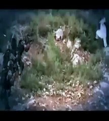 pakistani Army ki-lled taliban live now